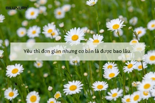 1001+ Cap hay, STT hay ngắn ấn tượng để đăng ảnh, tăng tương tác