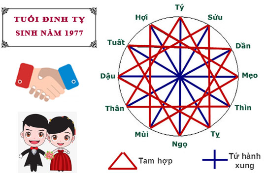 1977 TUỔI CON GÌ? CUNG, MỆNH, TỬ VI CỦA NGƯỜI SINH NĂM 1977 RA SAO?