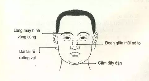 Nhìn mặt bắt hình dong: Tướng mặt chọn chồng 'chuẩn nhà người ta'