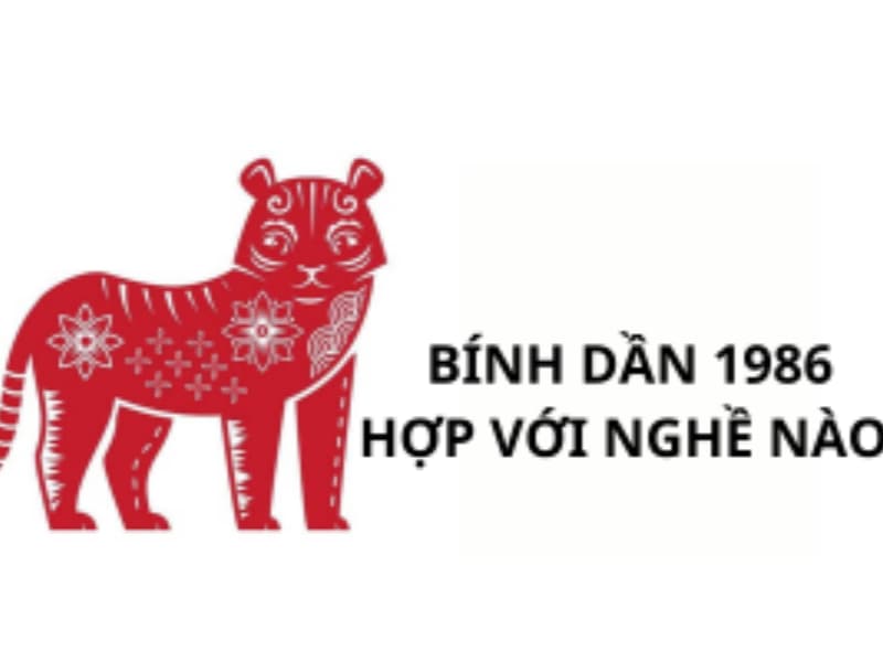 Sinh năm 1986 mệnh gì? Bí mật đằng sau người tuổi Bính Dần