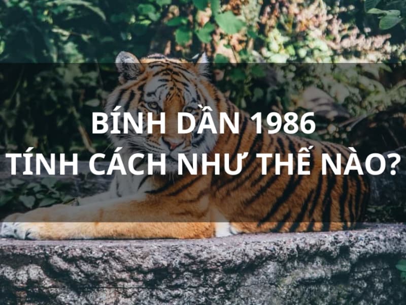 Sinh năm 1986 mệnh gì? Bí mật đằng sau người tuổi Bính Dần