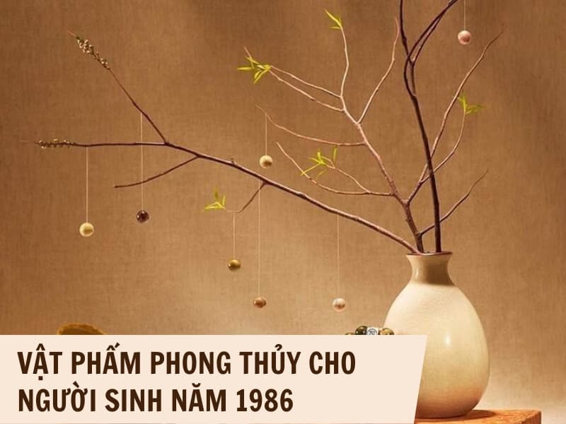 Sinh năm 1986 mệnh gì? Bí mật đằng sau người tuổi Bính Dần