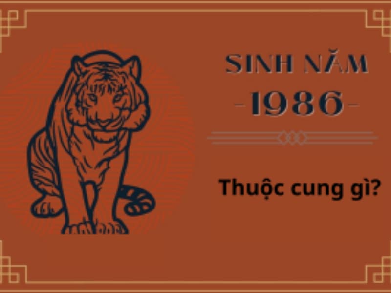 Sinh năm 1986 mệnh gì? Bí mật đằng sau người tuổi Bính Dần