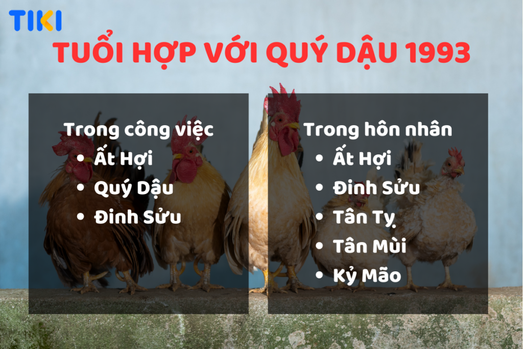 Tuổi 1993 mệnh gì? Màu sắc phong thủy và sự hòa hợp với các cung