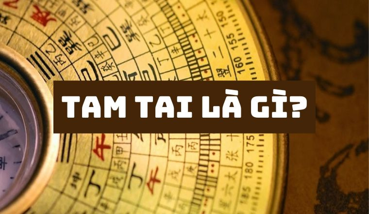 Người sinh năm 1993 mệnh gì? Xem tử vi tính cách, tình duyên, sự nghiệp của người tuổi Quý Dậu