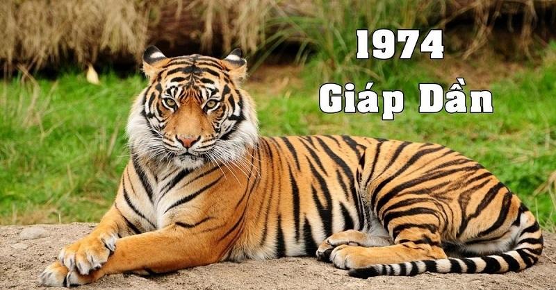 1974 tuổi con gì? Người sinh năm 1974 mệnh gì? Tiết lộ tính cách đặc trưng