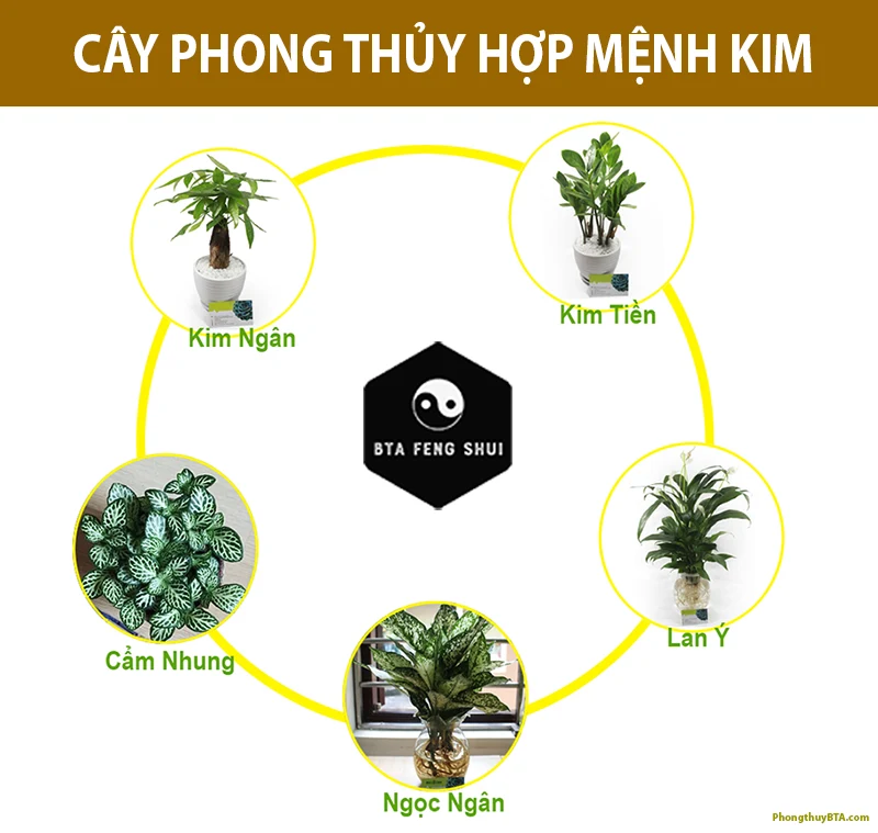 Mệnh Kim là gì? Mệnh Kim hợp màu gì? Hợp mệnh nào?