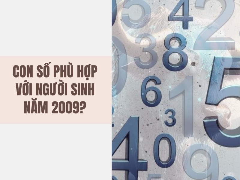 Tuổi Kỷ Sửu 2009 Mệnh Gì? Hợp Với Tuổi Nào, Hợp Màu Nào?