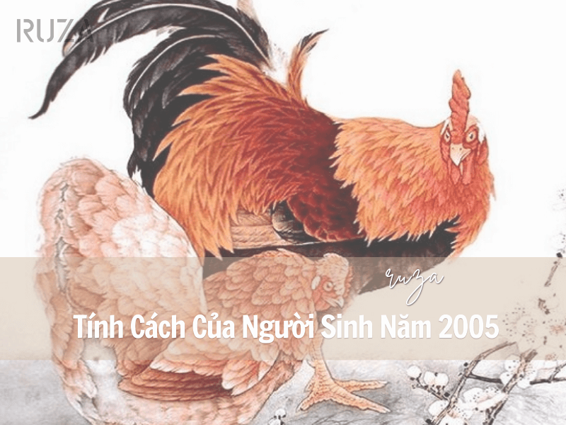 Tuổi Ất Dậu 2005 Mệnh Gì? Hợp Với Tuổi Nào, Hợp Màu Nào?