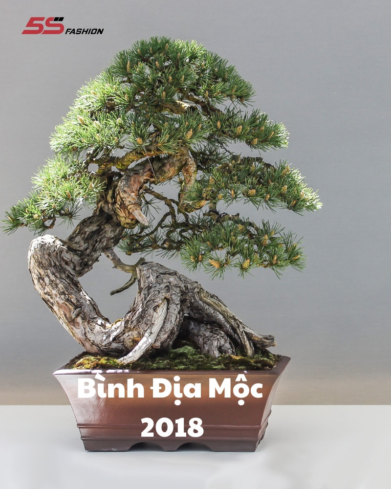 Sinh năm 2018 mệnh gì? Cách phối đồ hợp mệnh cho nam 2018