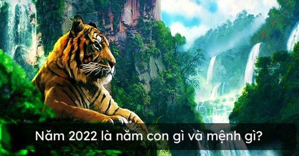 Năm 2022 là năm con gì mệnh gì? Sinh con tuổi dần 2022 tháng nào tốt?