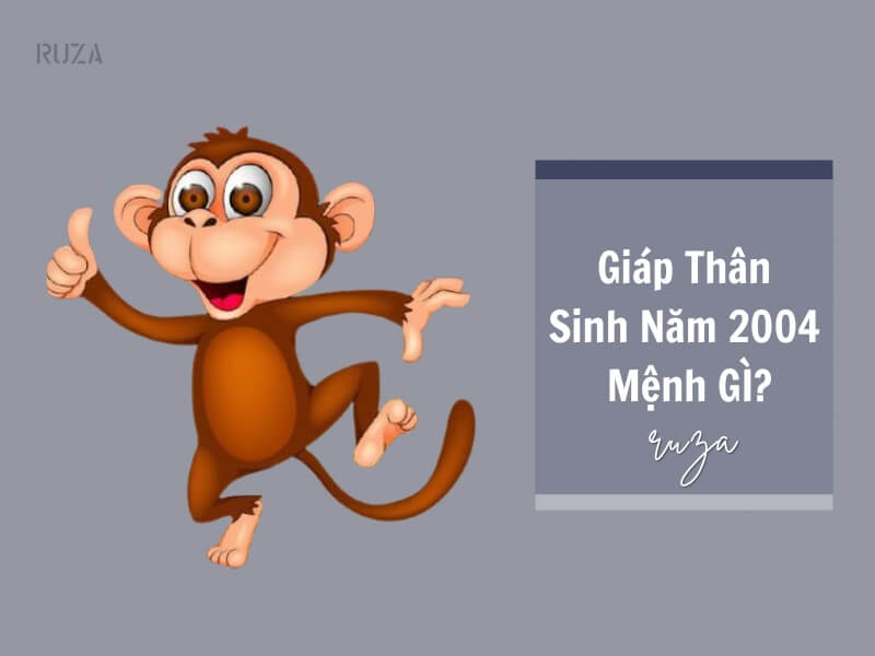 Tuổi Giáp Thân 2004 Mệnh Gì? Hợp Với Tuổi Gì, Hợp Màu Gì?