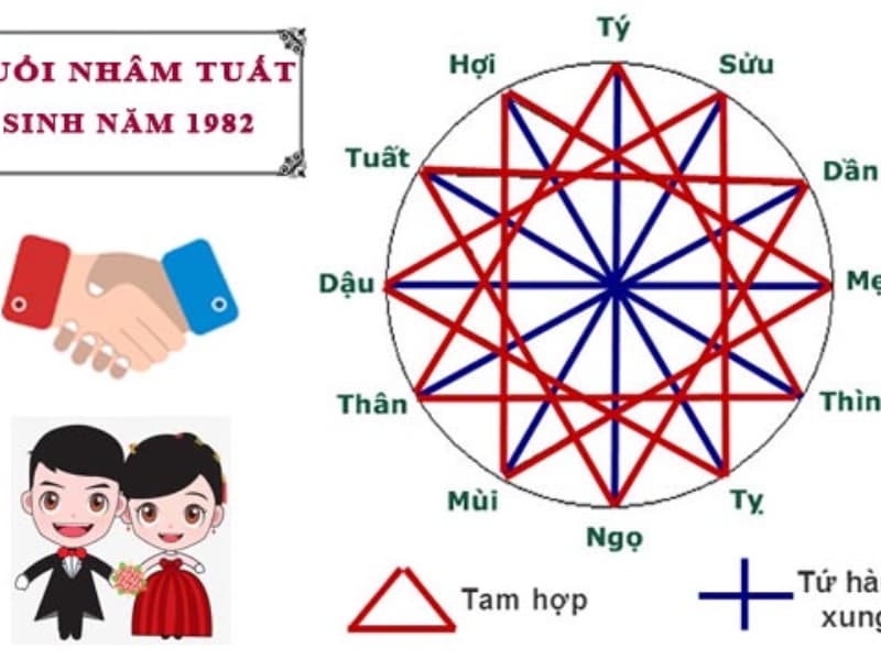 Sinh năm 1982 mệnh gì? Bí mật đằng sau người tuổi Nhâm Tuất