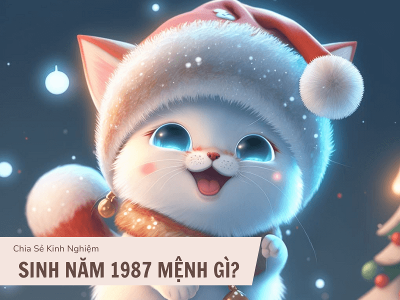 Tuổi Đinh Mão 1987 Mệnh Gì? Hợp Với Tuổi Gì, Hợp Màu Gì?