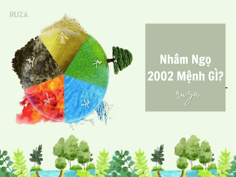 Tuổi Nhâm Ngọ 2002 Mệnh Gì? Hợp Với Tuổi Gì, Hợp Màu Gì?