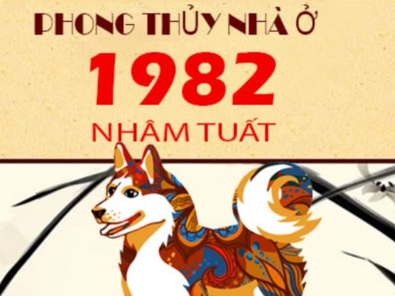 Sinh năm 1982 mệnh gì? Bí mật đằng sau người tuổi Nhâm Tuất