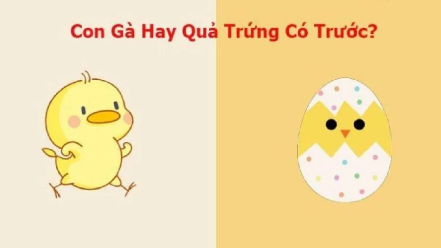 Quả trứng có trước hay con gà có trước: Đây chính là câu trả lời chính xác nhất