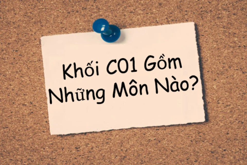 Khối C01 gồm những môn nào? Những ngành và trường đại học nào xét tuyển khối C01?