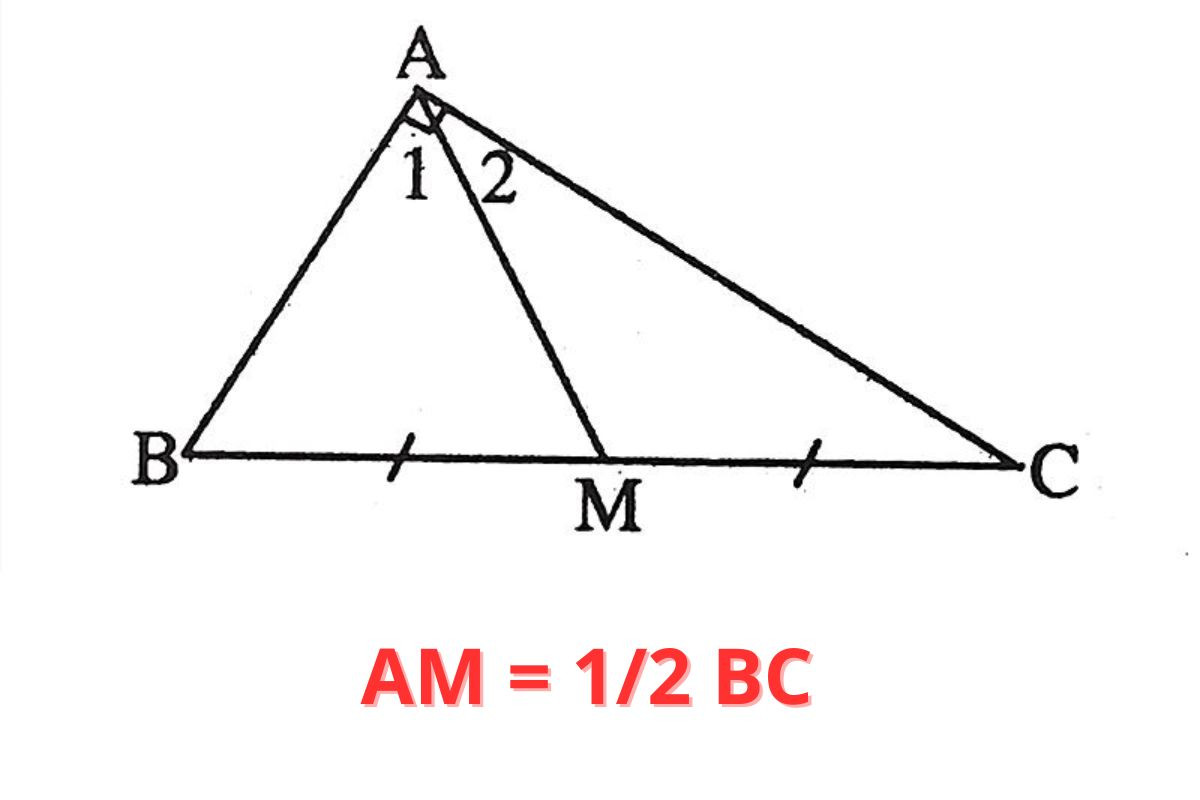 Đường trung tuyến là gì? Tính chất và cách tính dễ nhớ nhất cho học sinh