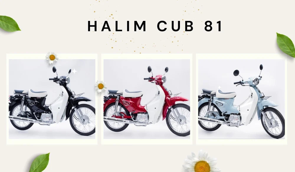 Đừng hối hận nếu bỏ qua Top 10 xe máy 50cc cho học sinh nữ này