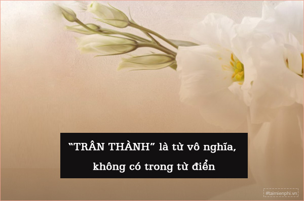 Chân Thành Hay Trân Thành, từ nào đúng chính tả Tiếng Việt?