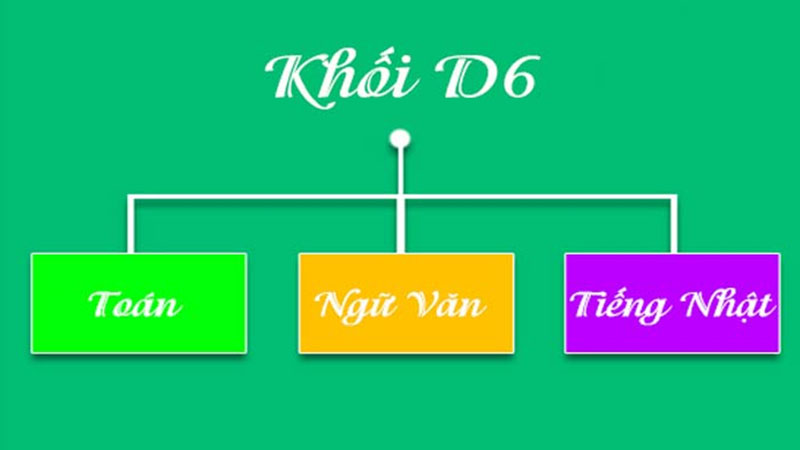 D06 gồm những môn nào? D06 nên học ngành gì, thi trường nào