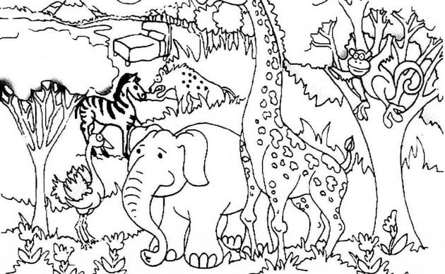 Bộ tranh tô màu con vật dành cho bé tập tô