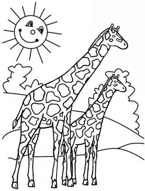 Bộ tranh tô màu con vật dành cho bé tập tô