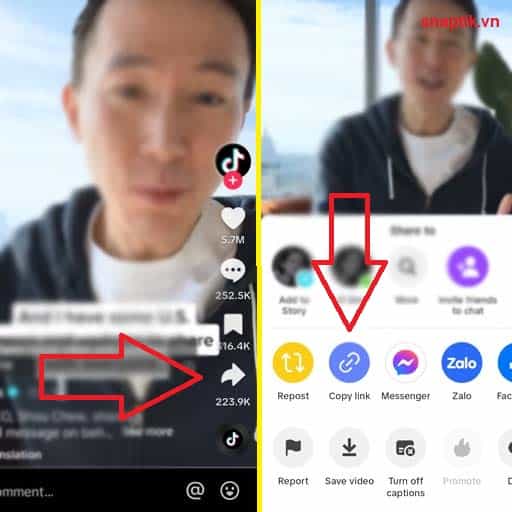 Snaptik App - Tải Video Tiktok Không Logo