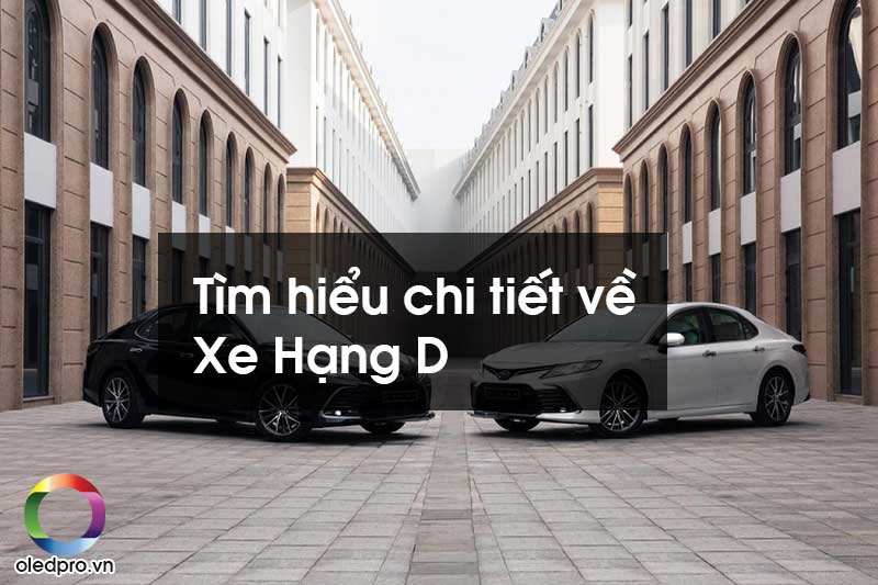 Xe Hạng D Là Gì? Các Dòng Xe Sedan Hạng D Đáng Mua Nhất