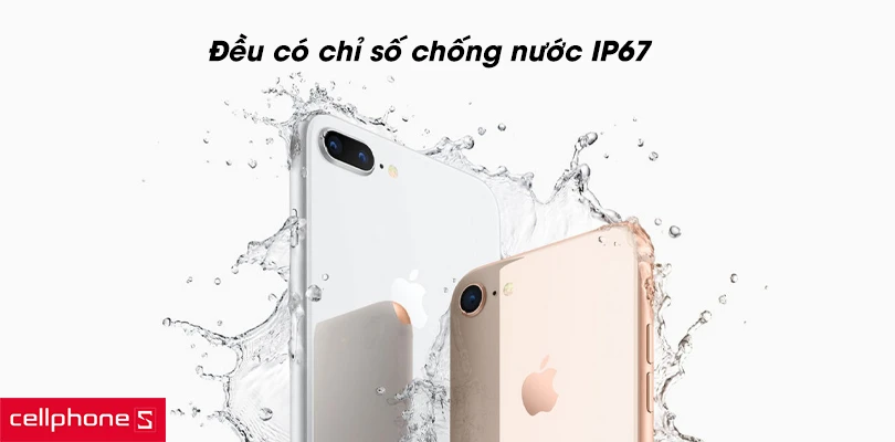 iPhone 8 | 8 Plus Cũ