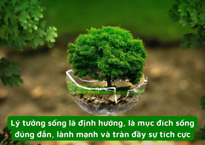 Lý tưởng sống là gì? Bạn đã hiểu đúng về nó hay chưa?