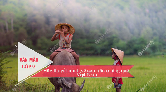 Một cái nhìn sâu sắc về con trâu ở làng quê Việt Nam