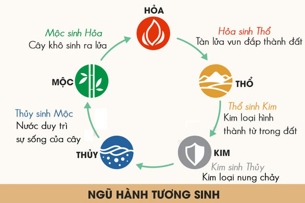 Xem tử vi tuổi Ất Dậu 2005 - Nữ mạng năm 2024 CHI TIẾT NHẤT