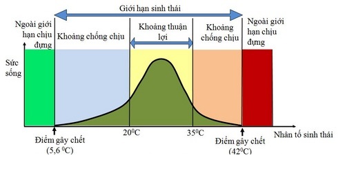 Môi trường sống và các nhân tố sinh thái - Sinh học 12