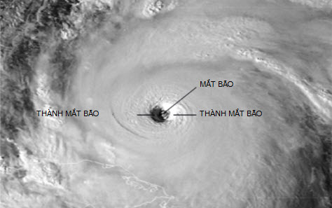 Bão và một số hiểu biết về bão
