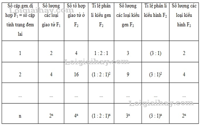 Quy luật Menđen: Quy luật phân li độc lập Sách giáo khoa Sinh học 12</>