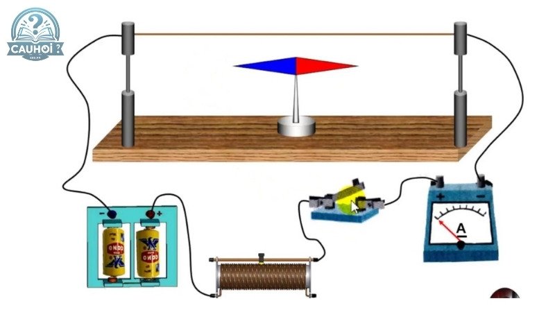 Chìa khóa cho sự phát triển: Ở đâu xuất hiện từ trường?