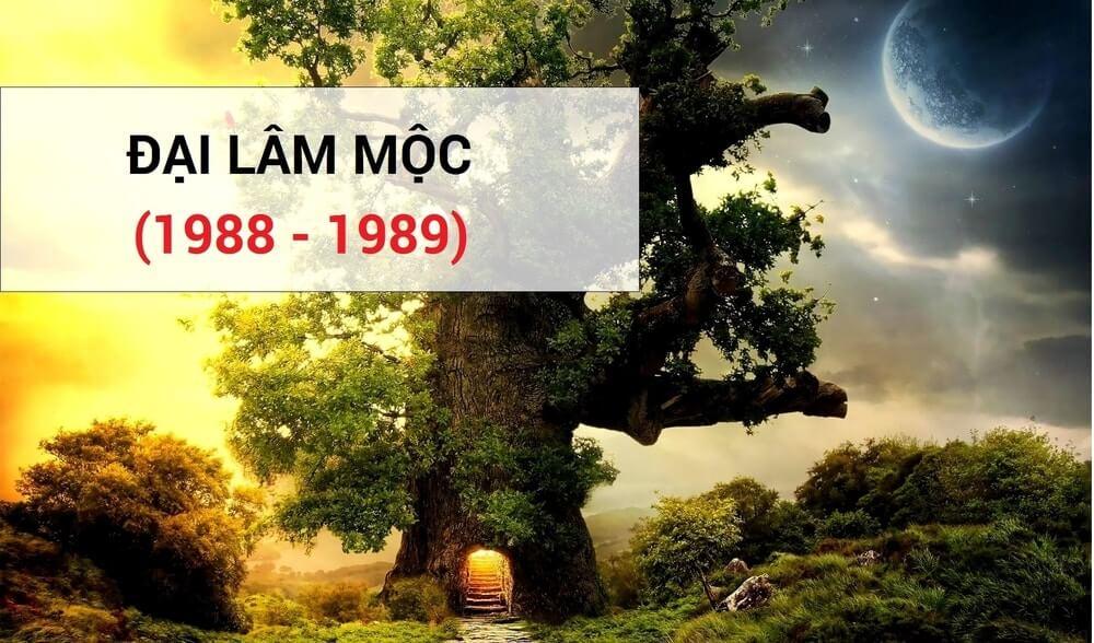 Đại Lâm Mộc và những điều thú vị về phong thủy