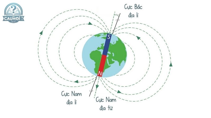 Chìa khóa cho sự phát triển: Ở đâu xuất hiện từ trường?