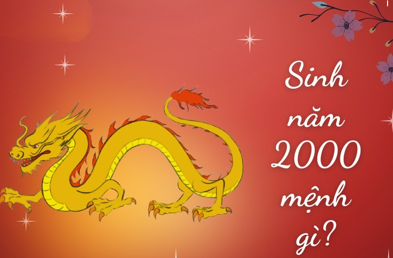 Sinh năm 2000 tuổi con gì? Tất tần tật về tử vi người sinh năm 2000