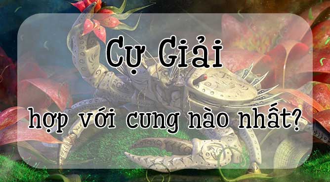 29/6 là cung gì - Sinh ngày 29/6 cung hoàng đạo nào - ngày 29 tháng 6 cung hoàng đạo nào