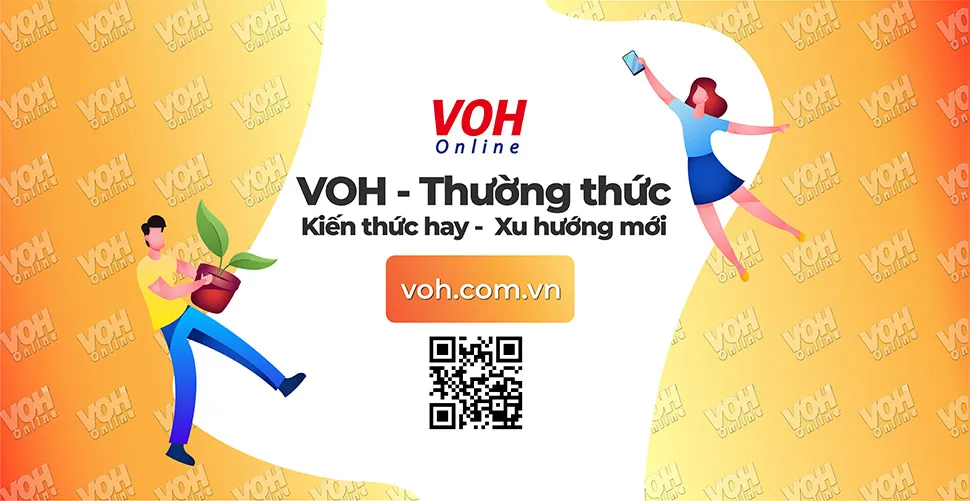 68 stt về sự mất mát người thân giúp xoa dịu niềm đau