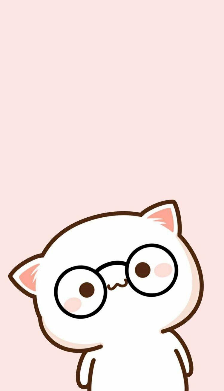 Mèo chibi mập cute, dễ thương