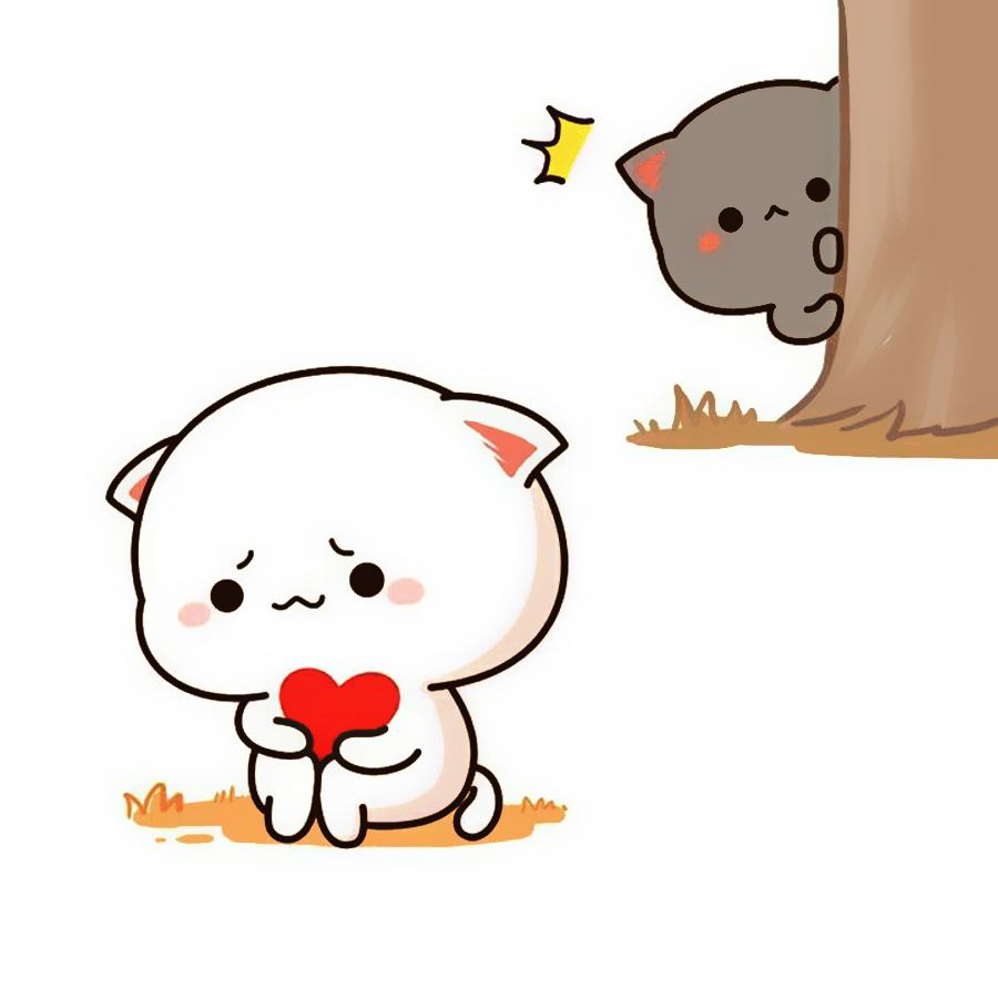 Mèo chibi mập cute, dễ thương