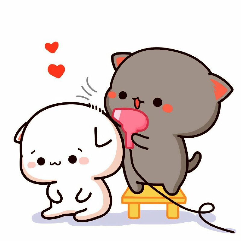 Mèo chibi mập cute, dễ thương