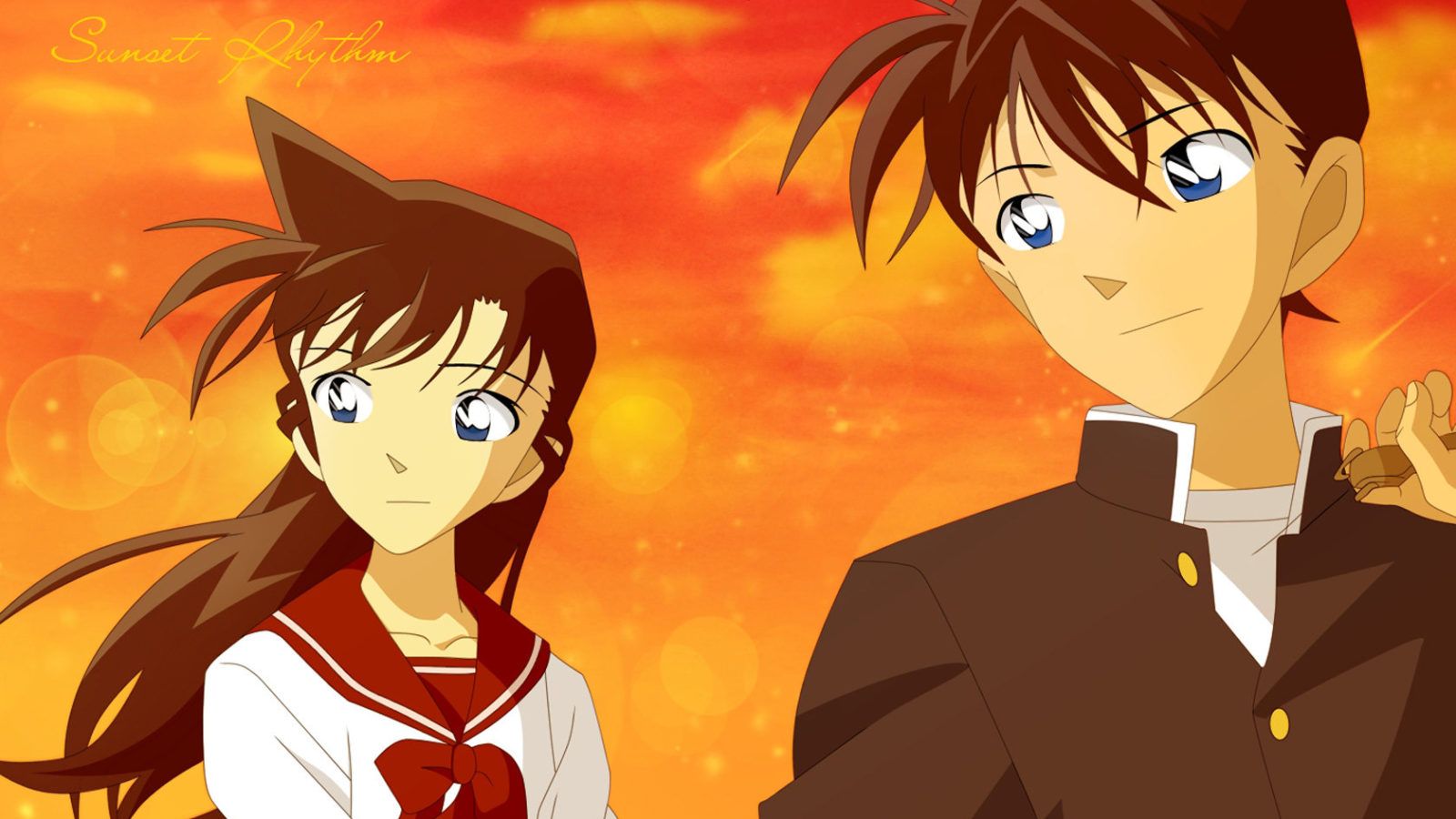 Những hình ảnh Shinichi và Ran đẹp nhất