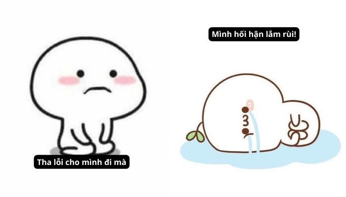 101+ meme xin lỗi người yêu, meme mèo xin lỗi cute nhất