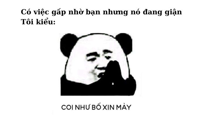 101+ meme xin lỗi người yêu, meme mèo xin lỗi cute nhất