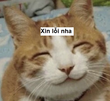 101+ meme xin lỗi người yêu, meme mèo xin lỗi cute nhất